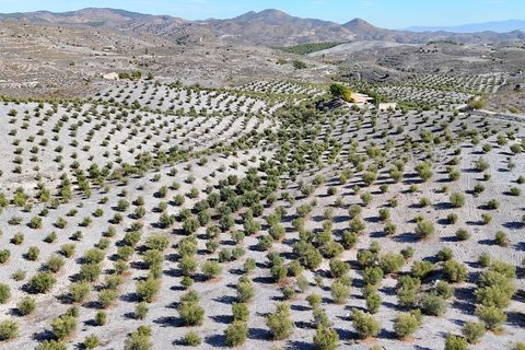 Landejendom i Puerto Lumbreras, Murcia - foto 4